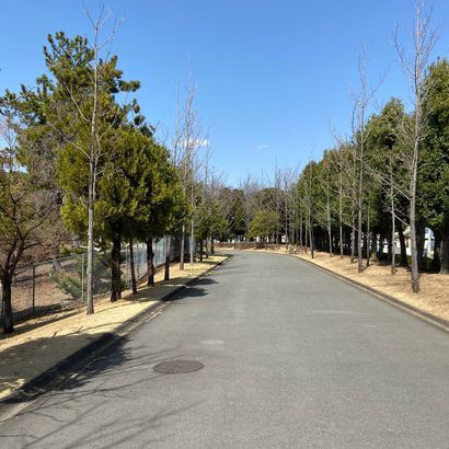 道